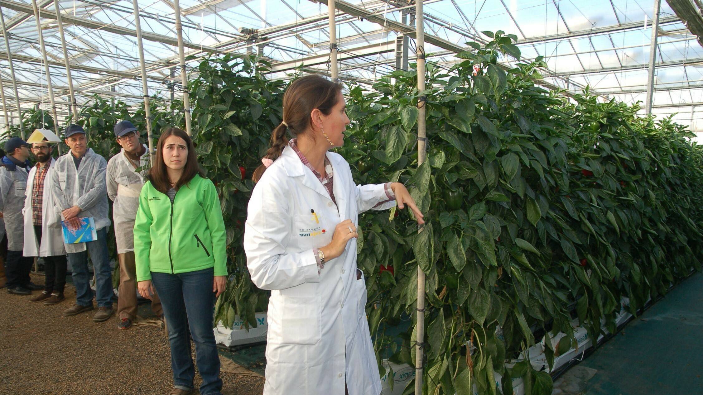 _18511612015DSC_0322|galeria3|imagen-index-2018|II SAE